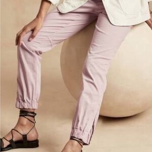 Banana Republic Slim Utility Pant